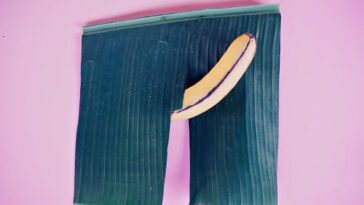 Männergesundheit Sexuelle Fitness und Potenz im Fokus